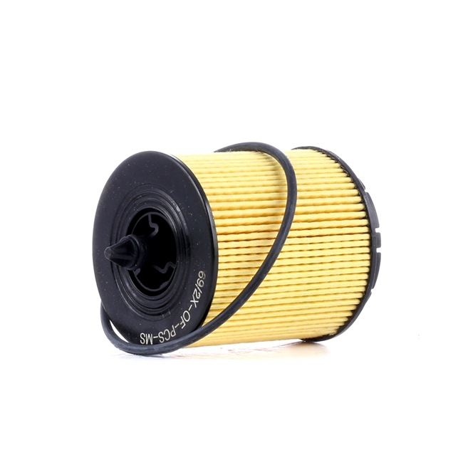MASTER-SPORT 69/2X-OF-PCS-MS: Eļļas filtrs ar blīvēm