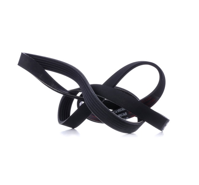 MASTER-SPORT 6PK1548-PCS-MS: Correa trapecial poli V 1548mm, Número de nervaduras: 6