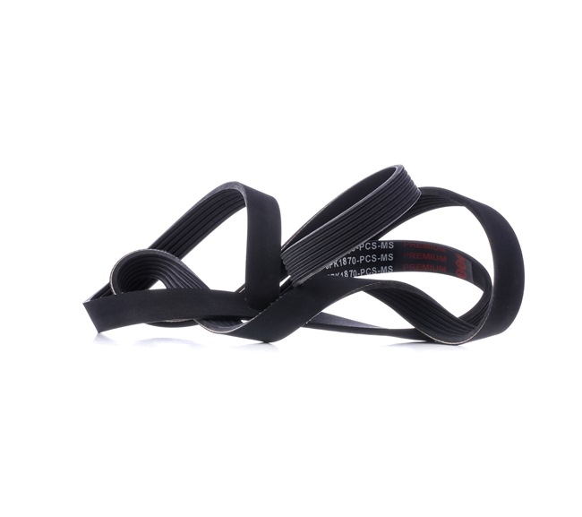 MASTER-SPORT 6PK1870-PCS-MS: Correa trapecial poli V 1870mm, Número de nervaduras: 6