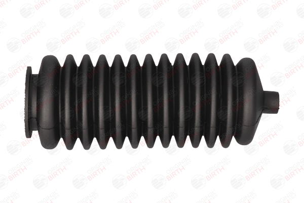 BIRTH 7074 Stuurhuishoes RENAULT TWINGO 1 (C06) 75 Pk Benzine kosten