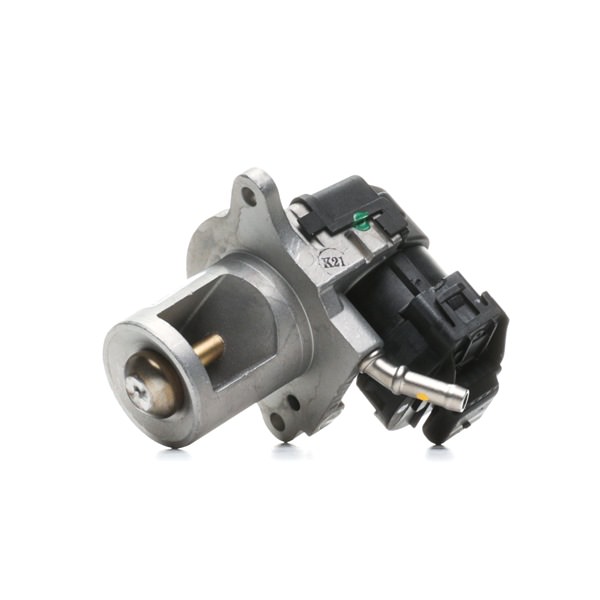 DRI 717730146: Supapă EGR cu garnituri