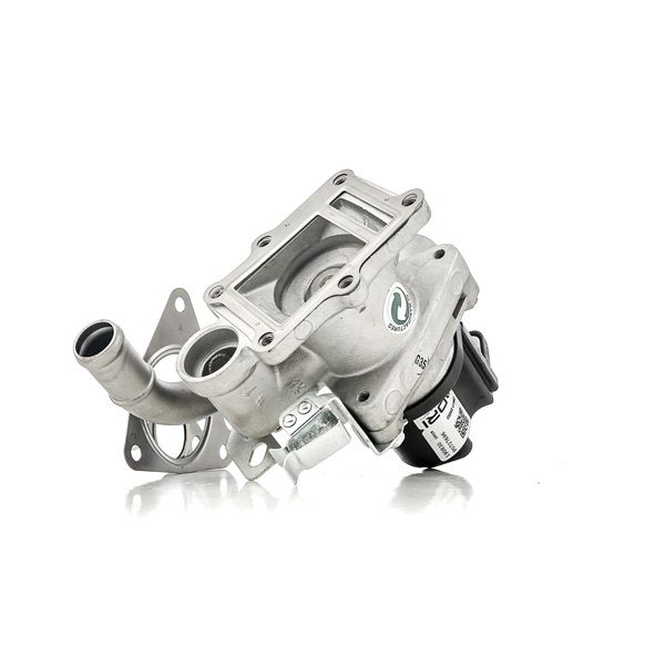DRI 717730188: Supapă EGR cu garnituri