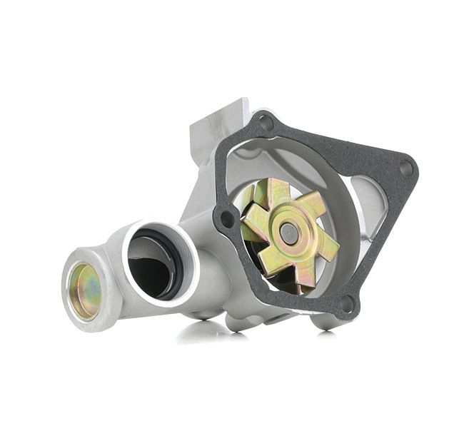 MASTER-SPORT 7704-WP-PCS-MS: Bomba de agua