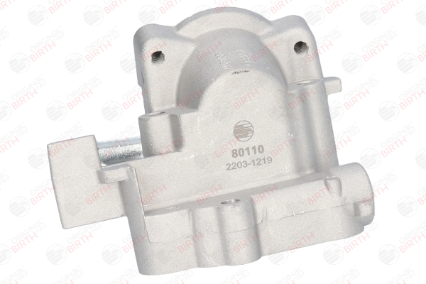 BIRTH 80110: Kühlmittelflansch Vorderachse