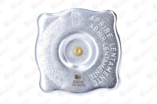 BIRTH 8087: Kühlerdeckel Vorderachse, oben