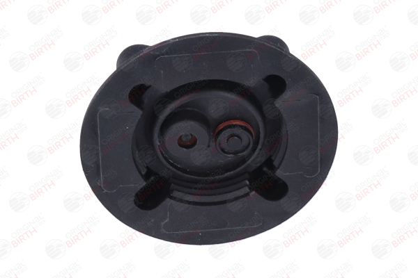 BIRTH 8481: Kühlerdeckel Vorderachse