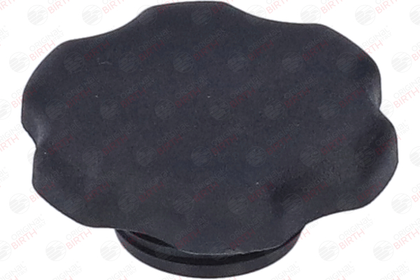 BIRTH 8813 Olievuldop OPEL Astra G CC (T98) 75 Pk Benzine kosten