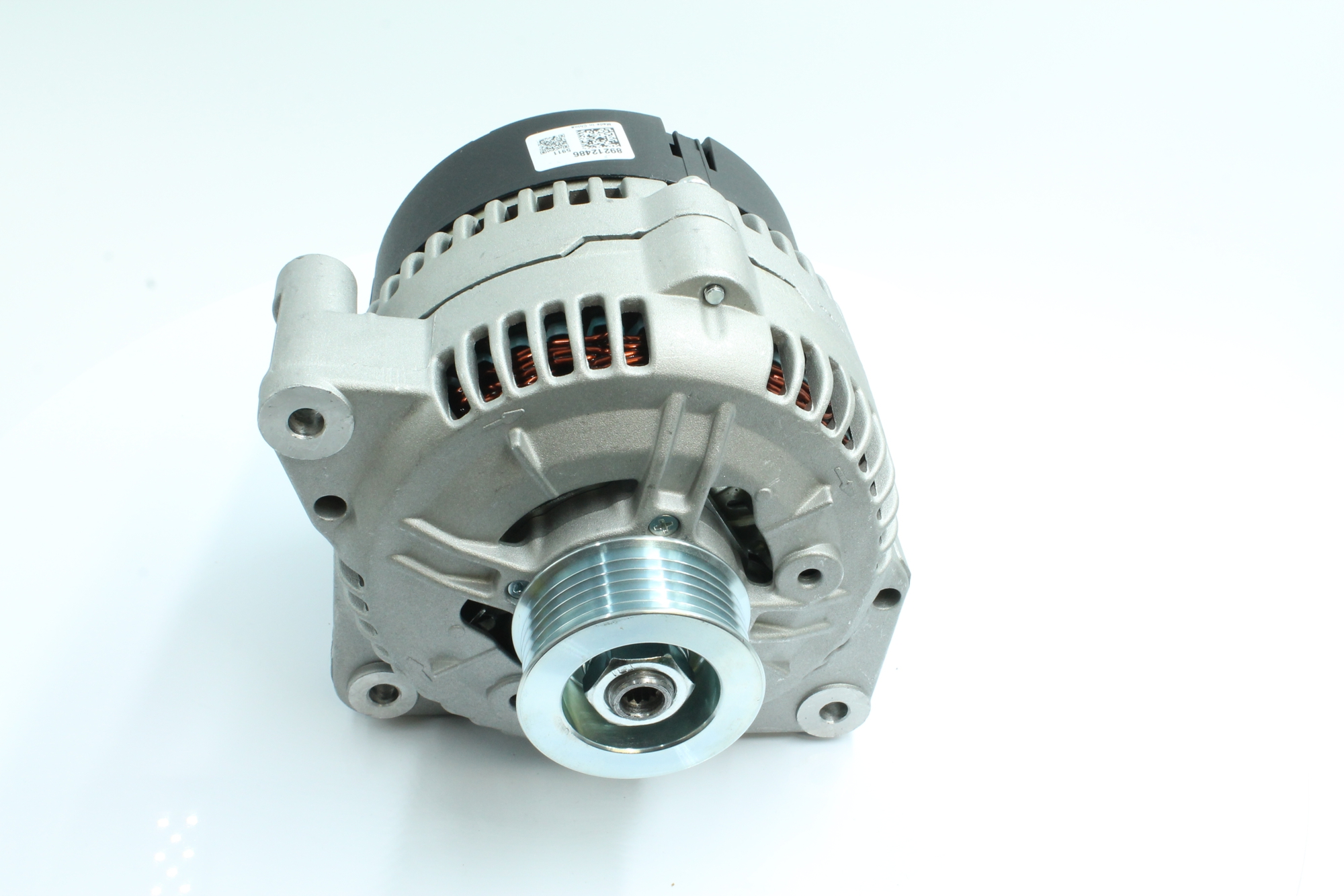 PowerMax 89212486: Kintamosios srovės generatorius PowerMax 100A