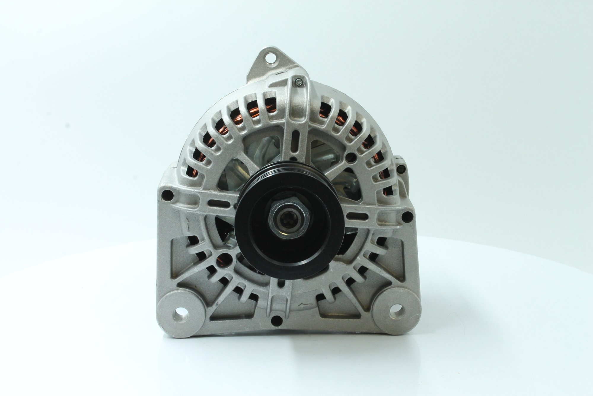 PowerMax 89213006: Laturi PowerMax 110A