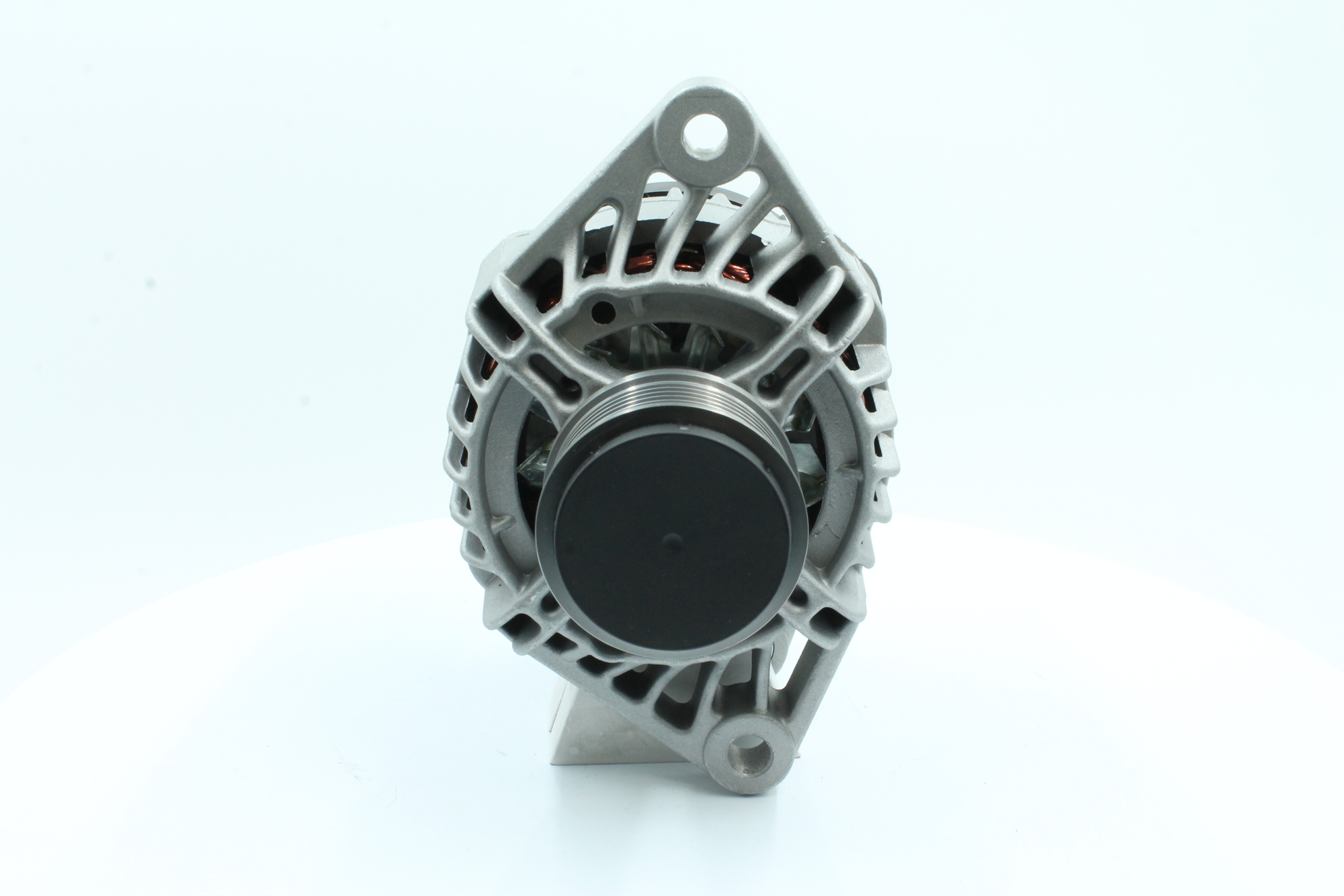 PowerMax 89213550: Kintamosios srovės generatorius PowerMax 100A