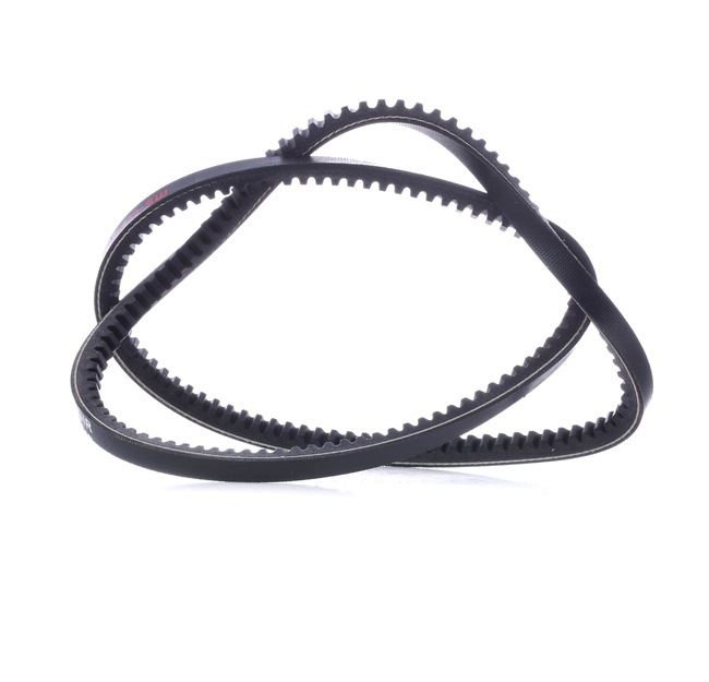 MASTER-SPORT AVX-10X1000-PCS-MS: Correa trapezoidal