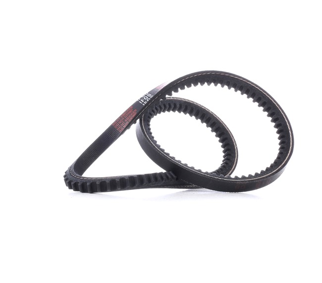 MASTER-SPORT AVX-10X666-ST-PCS-MS: Correa trapezoidal 666mm