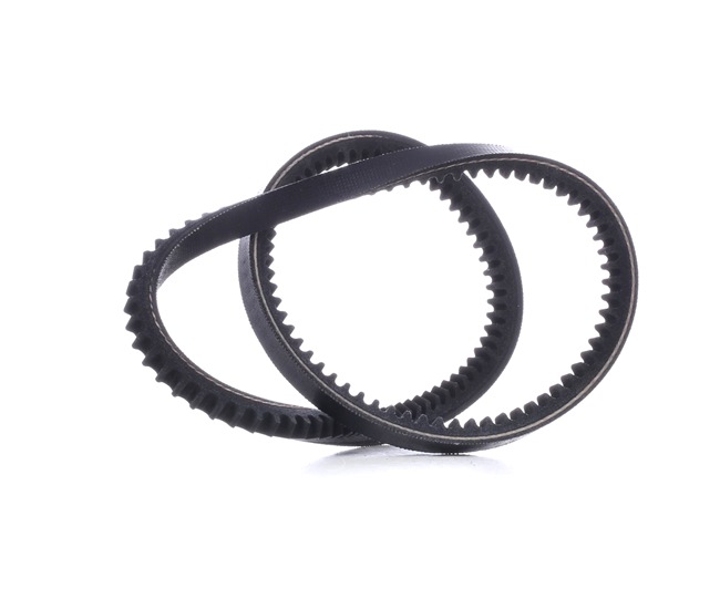 MASTER-SPORT AVX-10X710-PCS-MS: Keilriemen