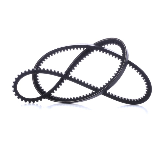 MASTER-SPORT AVX-13X1025-PCS-MS: Correa trapezoidal 1025mm