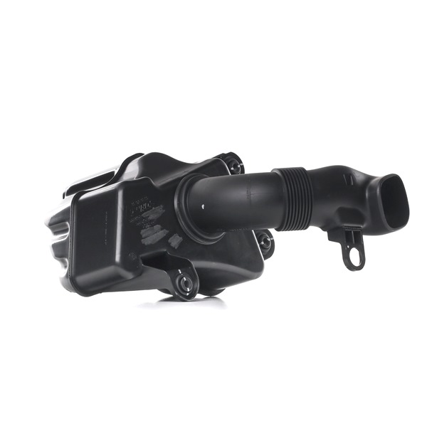 Borsehung B12830: Sistem de filtru aer - sport