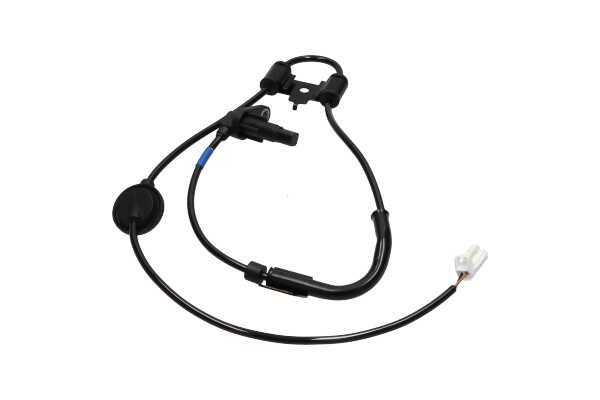 KAVO PARTS BAS-3121: Датчик, обороти на колелото на задната ос отдясно