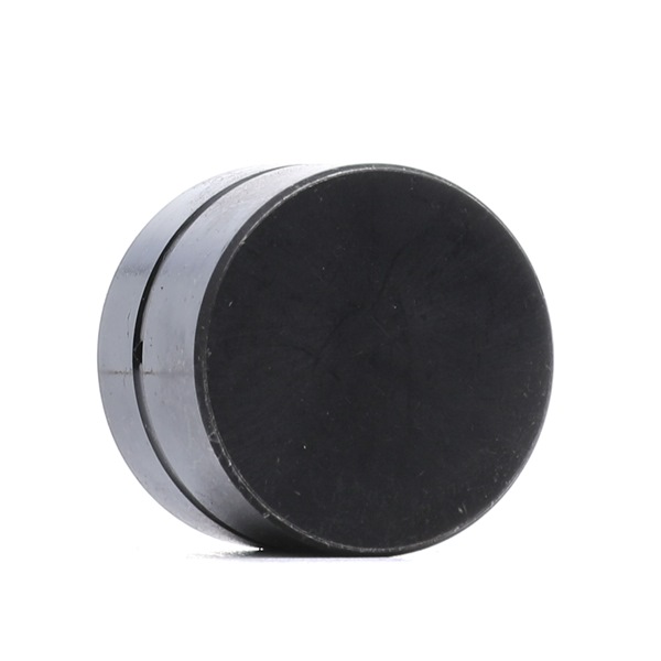 FAI AutoParts BFS101S: Came de válvula