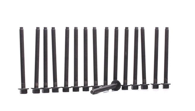 BGA BK2392: Zestaw żrub głowicy cylindrów 160[mm], M13