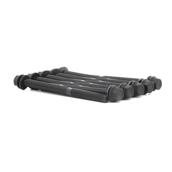 BGA BK6400: Set surub, chiulasa