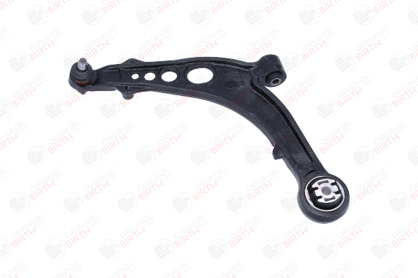 BIRTH BR1648 Querlenker FIAT Idea (350_) 90 PS Diesel Kosten