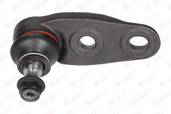 BIRTH CS0004: Traggelenk vorne links, unten, 17mm, mit Schraube