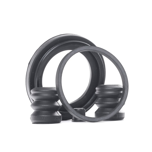 AUTOFREN SEINSA D4130: Set reparatie, etrier