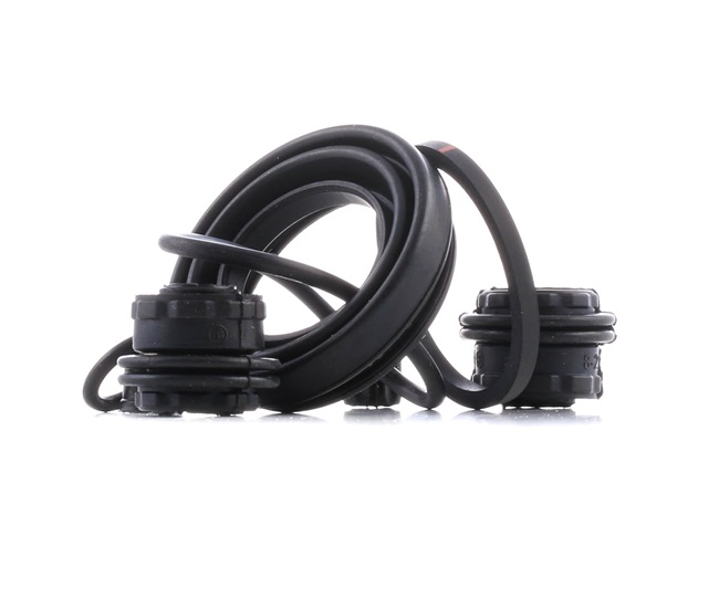 AUTOFREN SEINSA D42557: Set reparatie, etrier