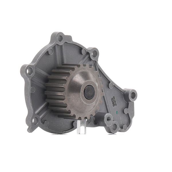 DAYCO DP061: Wasserpumpe