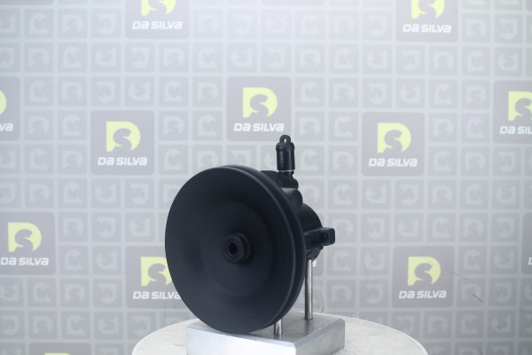 DA SILVA DP2028: Servopumpe