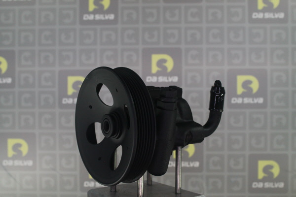 DA SILVA DP2241: Servopumpe