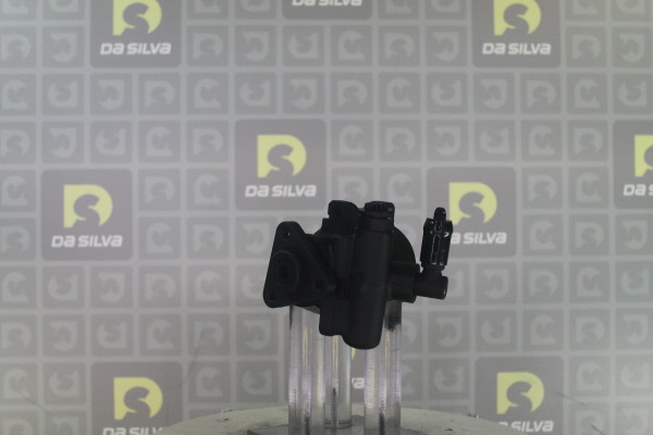DA SILVA DP2486: Servopumpe