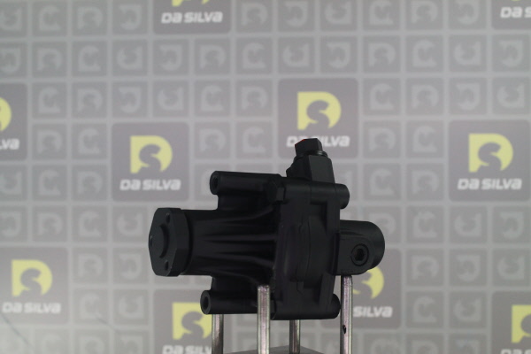 DA SILVA DP2561: Servopumpe