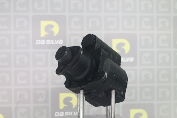 DA SILVA DP2675: Servopumpe