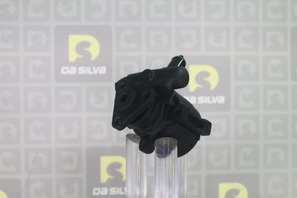 DA SILVA DP2711: Servopumpe