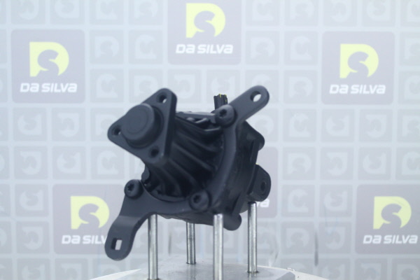 DA SILVA DP2760: Servopumpe mit Halter