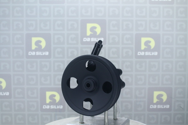 DA SILVA DP2973: Servopumpe