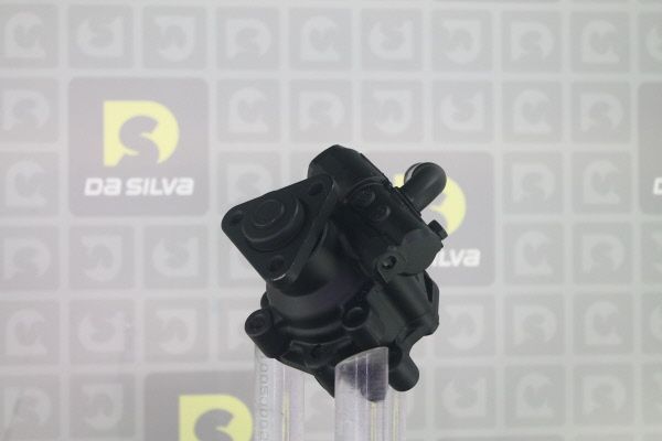 DA SILVA DP3018: Servopumpe ohne Saugrohr