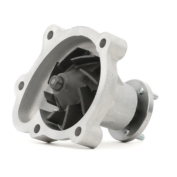 DAYCO DP309: Ūdenssūknis