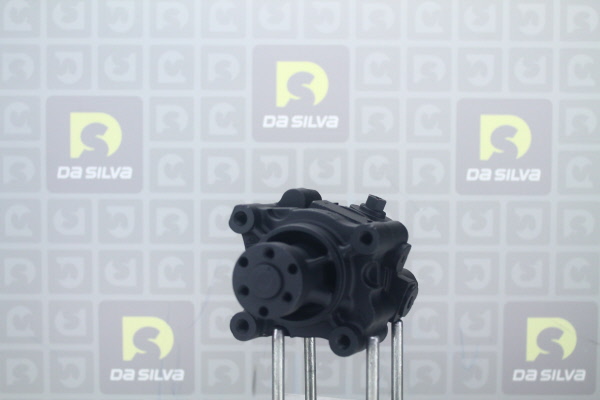DA SILVA DP3221: Pompa wspomagania