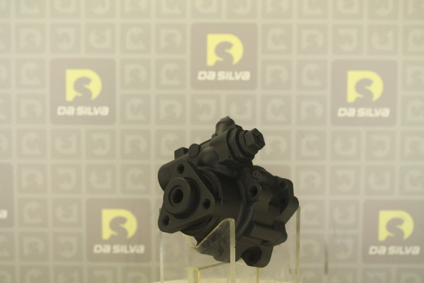 DA SILVA DP3230: Servopumpe mit Saugrohr