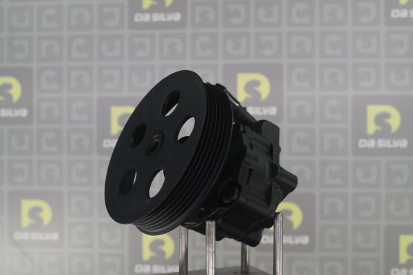 DA SILVA DP3431: Servopumpe