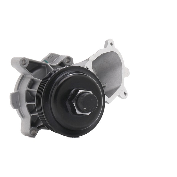 DAYCO DP365 Waterpomp BMW X5 (E53) 218 Pk Diesel kosten