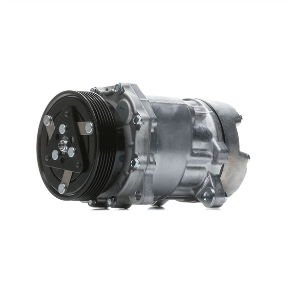 VALEO 813200 Kompresor, klimatizace SEAT Leon Hatchback (1M1) 150 HP Diesel cena
