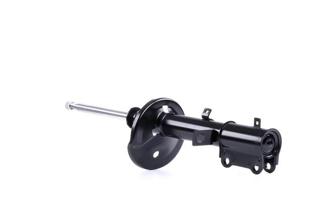 DENCKERMANN DSB019G: Stoßdämpfer Hinterachse rechts, Gasdruck, Federbein