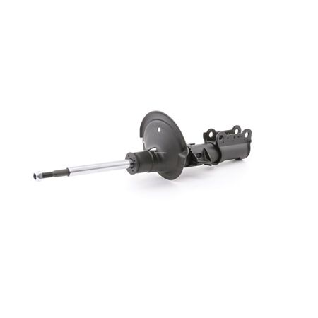 DENCKERMANN DSB031G: Amortizor punte fata, presiune gas, Ansamblu amortizor-arc