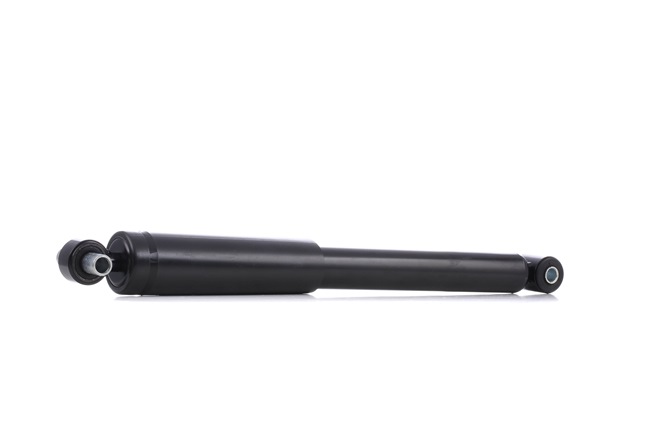 DENCKERMANN DSF102G: Amortizor puntea spate, presiune gas, Ansamblu amortizor-arc