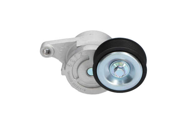 KAVO PARTS DTP-4535: Spannrolle, Keilrippenriemen Ø: 79mm, Ø: 79mm