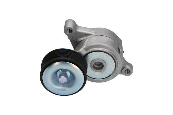 KAVO PARTS DTP-4536: Spannrolle, Keilrippenriemen Ø: 79mm, Ø: 79mm
