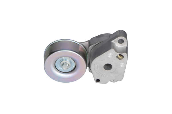 KAVO PARTS DTP-5503: Spannrolle, Keilrippenriemen Ø: 80mm, Ø: 80mm