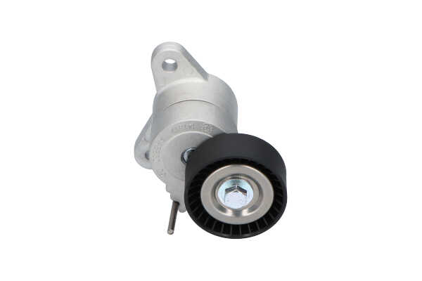 KAVO PARTS DTP-5514: Spannrolle, Keilrippenriemen Ø: 65mm, Ø: 65mm